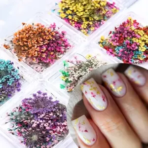 Vibrant Dried Flower Nail Decoration Set 8 S10f3a86fa4584768b2721a8f5a87d04eP