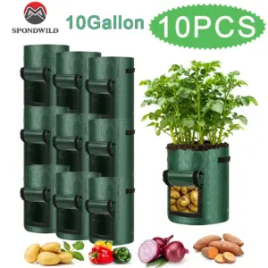 S14a5a4e1c2a6455a8069d0a71e0af9cf2