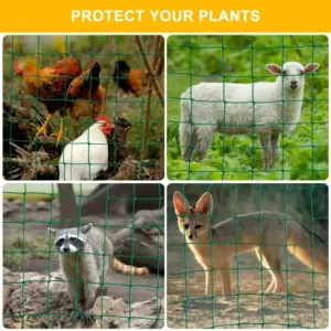 S16f82a9ede4347b08ca74db37445da72u