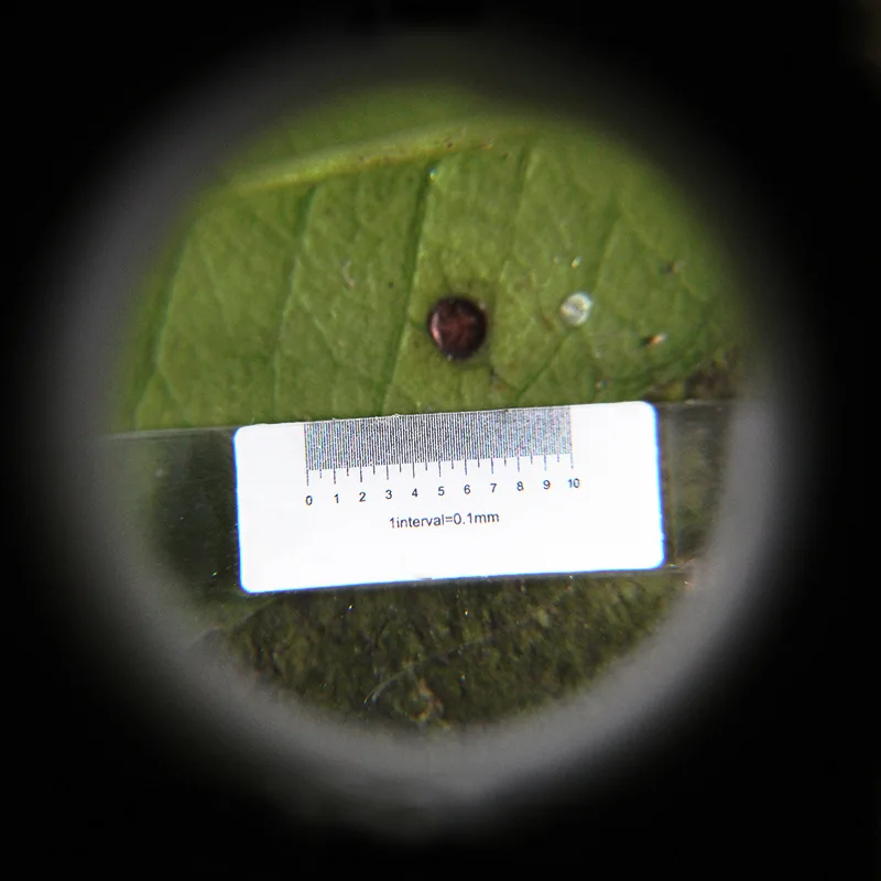 8X Illuminated Magnifier with Acrylic Lens 3 8X Illuminated Magnifier with Acrylic Lens - Image 3