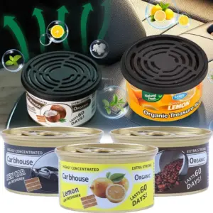 Vibrant Solid Perfume Car Air Fresheners Set