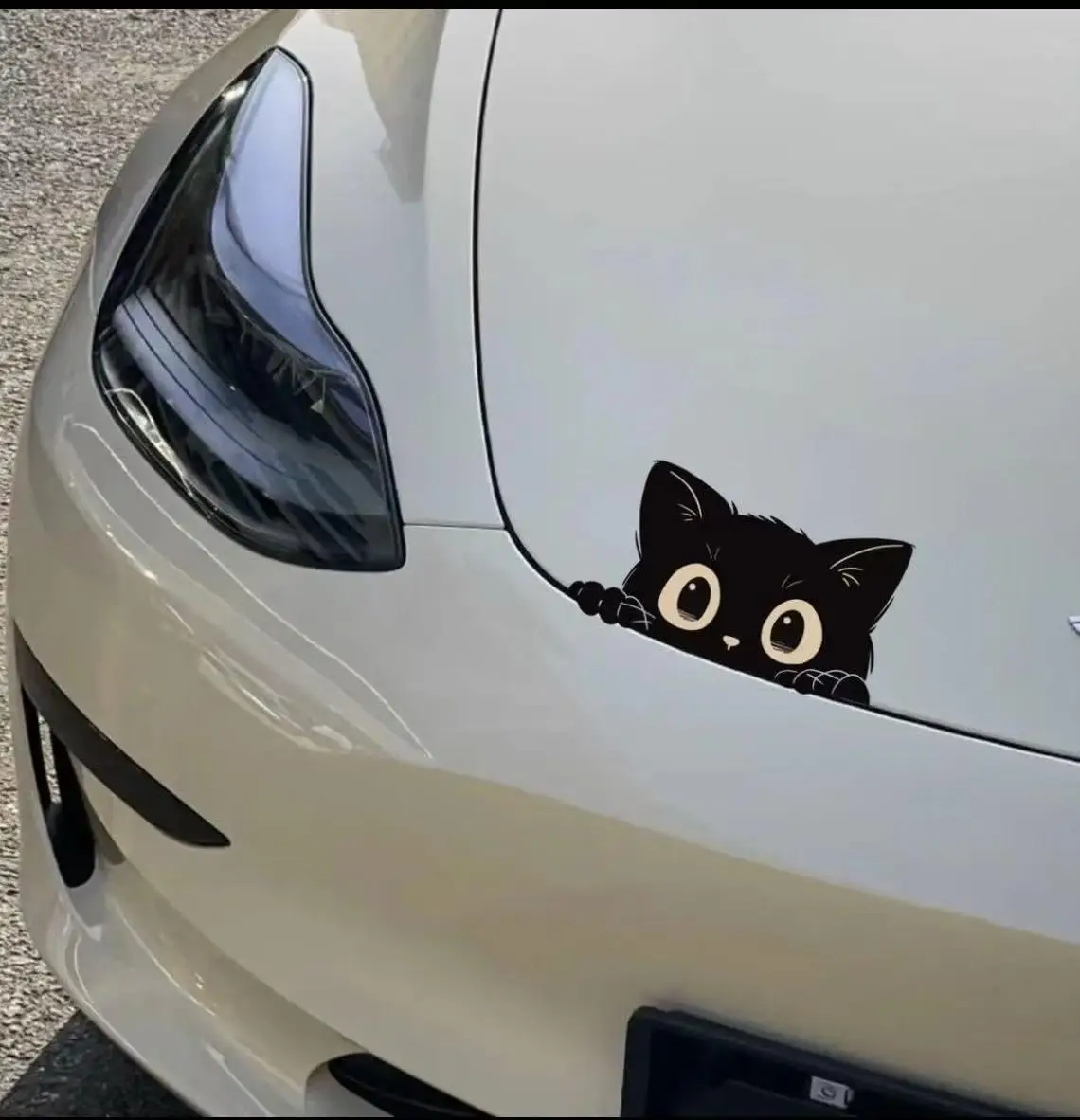 Cute Stealing Cat Car Sticker Vinyl Decal 6 Cute Stealing Cat Car Sticker Vinyl Decal - Image 6
