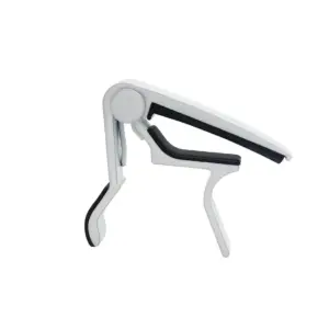 S1e42c9593fe84cce9cb0fd2f8944925cy