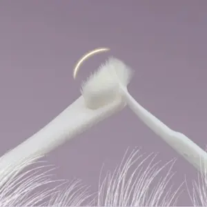 S1e8c5d298a814de69a8d9083299310d4d