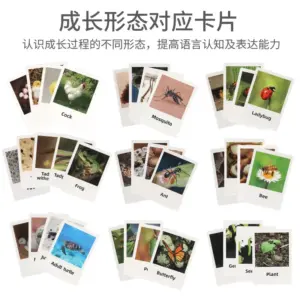 S1f13771678d54d6e9c16b2a58bf9d1b2t