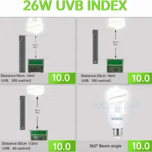 S1f4569d0808c42e987048be44821ce6bH