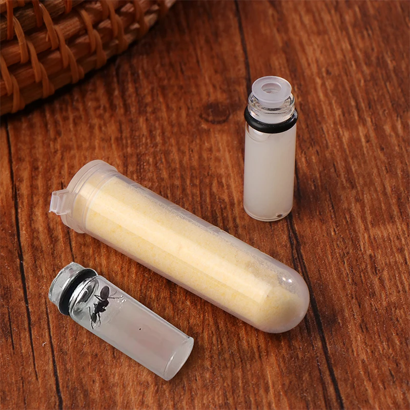 Premium Ant Colony Nourishment Food 2 Premium Ant Colony Nourishment Food - Image 2