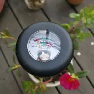 S263de358cc6f4f57a3c20cc6ed996b62b