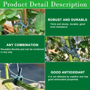 S2644a4b4ea644f52a9462c3b1745fe487