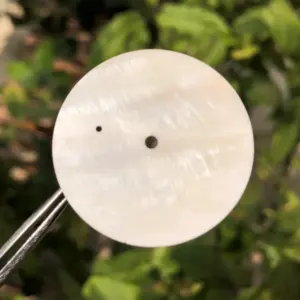 S281c95b8f81d4e87bc8c9516a322d8ecr