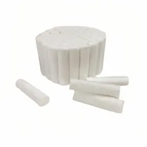 S2bbe65e64c7a498c8b14eea687ee372df