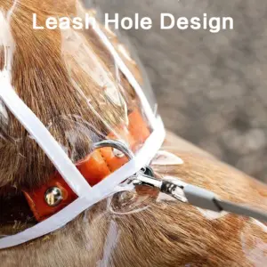 S32511c2209924c6aa885fce9425f5f4c0