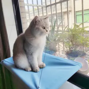 Hanging Cat Bed in Rectangular Design 13 S33247afeca4945cab252abf8653f6b03S