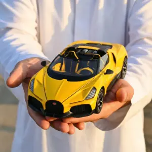 S336733b7868246f18155158d4428d5fcU