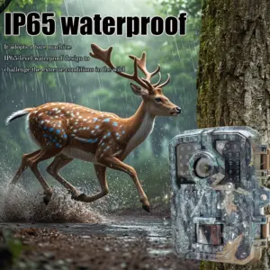 S389c42fd4945441299f662186c2904c7E