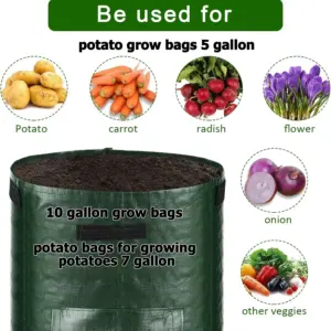 S38f441d2de94495294841a42321851d7Z