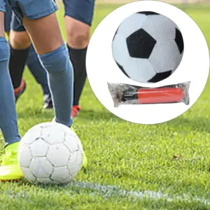 S40a09b63b2e448049c70123f043a25ecV