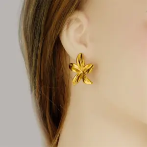 S413c02e264fa4f8f925be322e141df11d