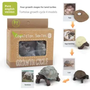 S43e953fd37914aba9b4341b3b01972785