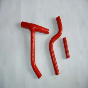 S466f1563a579404e8e98d7021b6e0b1fg