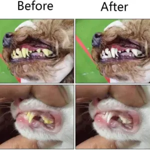 Vibrant Three-Sided Pet Toothbrush for Dogs & Cats 15 S4791b1b83c3a43a18808ec7b746dbbdb5