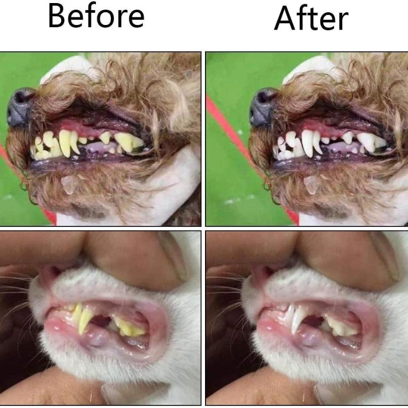 Vibrant Three-Sided Pet Toothbrush for Dogs & Cats 6 Vibrant Three-Sided Pet Toothbrush for Dogs & Cats - Image 6