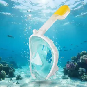 Full Face Snorkel Mask with 180° View 16 S49ecce6ab3d34af7a53d42daf08912d2n