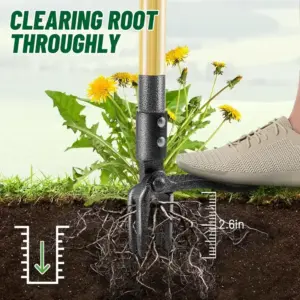 S49eea8da9e22496eba4affd211d25d4fz