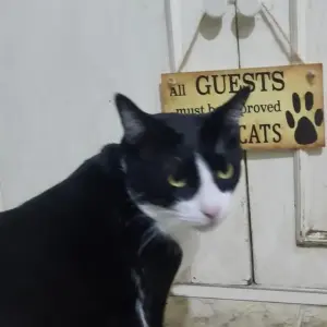 S4e422704b1a34de9bb65372b6ea015c1k