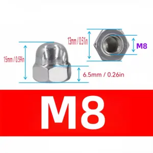 Stainless Steel Acorn Nuts Set (M3–M12) 14 S4fbddcfa8ca24d3aacdcf97f6ce1f8c7a