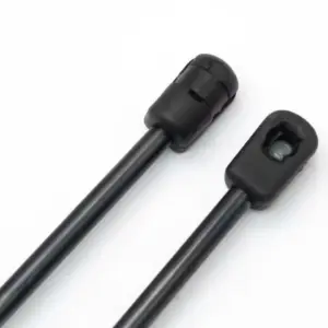 Hyundai Ioniq Gas Strut Support Pair 10 S4fc6d1f9e6684a89b27c61e41a1e6b89C