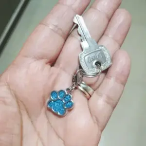 S512981256c494429b84bb545c716fafej