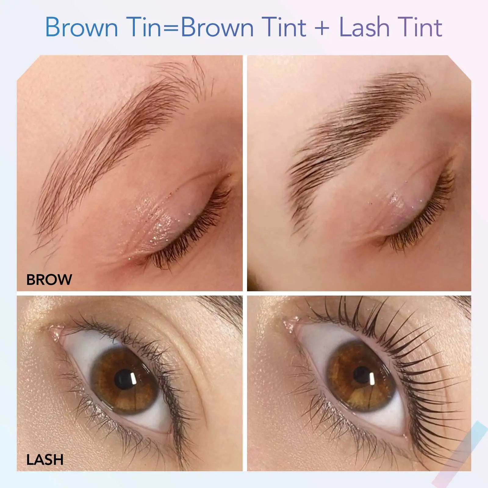 Libeauty Eyelash & Eyebrow Tint Kit 6 Libeauty Eyelash & Eyebrow Tint Kit - Image 6