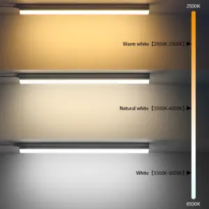 S59001aa38e50456a937804480e64cb9fb