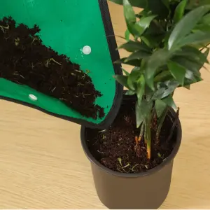 S5fb636c0bd8d457393a75519eb64efb6p