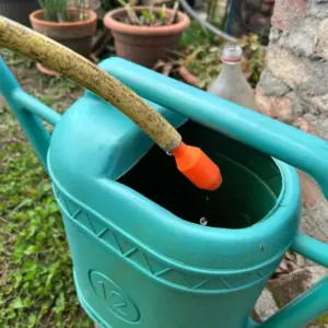 S634eb270219647f0ab99cdff919733c2T