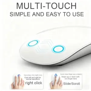 S65cd64db05484abd9703e3393e190eb5q