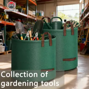 S666fe462b2be422fa4925e7a552f3a10y