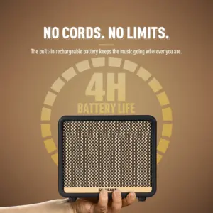 Vintage-Style 10W Guitar Amplifier 11 S690d2a1509e1499d908dc309d28bd017E