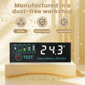 Voktta DC 7-55V Battery Indicator Panel 13 S69d024cc80c04431b2b0fb203139d288V