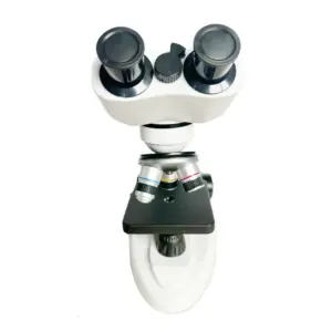 S6dde9dd197ad44399ec5ed2b1901b19eE