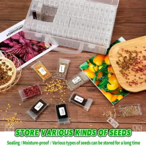 Transparent Seed Storage Box with Compartments 12 S6e29a57fc0c34b749c4ca18df3412773s