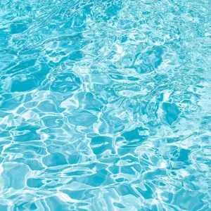 S6e6d2105962a443aaf2b7a9f6b72657cq