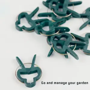 S704fd6f6076c4de4910d8b2498fe8e72Q