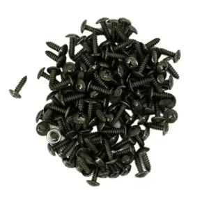 Automotive Fastener Set with Self-Tapping Screws 12 S743a81216f4d4773b6ac8ba87d76c6ffp