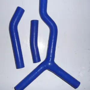 S77b597fa867944dea22e5235a0458630y