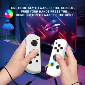 GAMINJA Wireless Switch Joypad with RGB 13 S7afe0e223463420aa0696a934d845460G