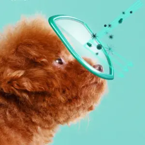 S7b39fbd9c97d47f6bea23c9027b44faeO