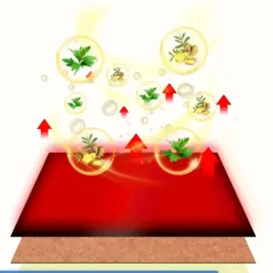 S854d04d208b14e1b9e8375b1437a0168g