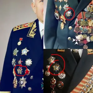 S86951b552b284a83be8e127c7c348e35k